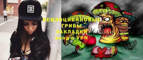 сатива Балахна