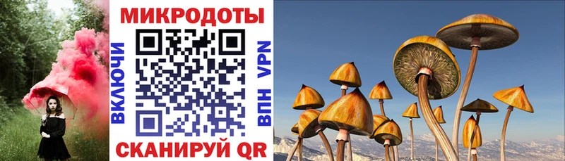 Псилоцибиновые грибы MAGIC MUSHROOMS  Купить  Малая Вишера 